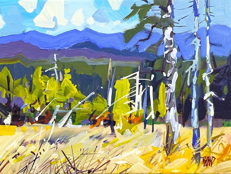 Image of art work “Redstreak Grasslands”