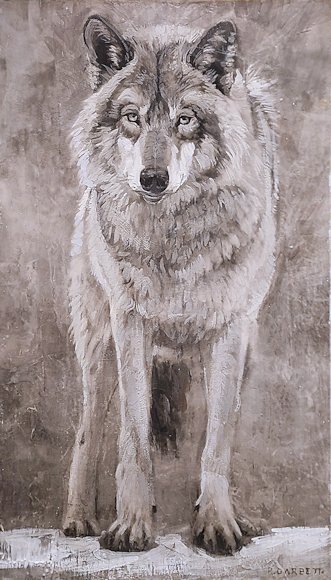 Image of art work “Lone Wolf (1 of 25)”