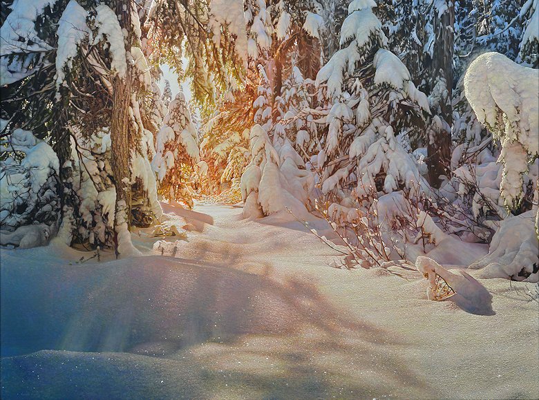 Image of art work “Forest Lght”