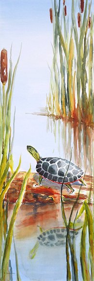 Image of art work “A Turtle