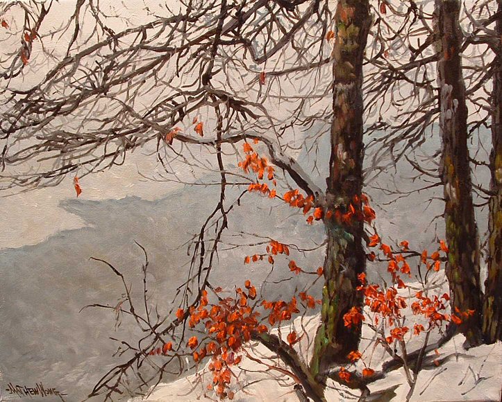 Image of art work “Snowy Gorge”