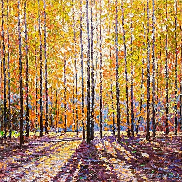 Image of art work “Light and Shadow Dance”